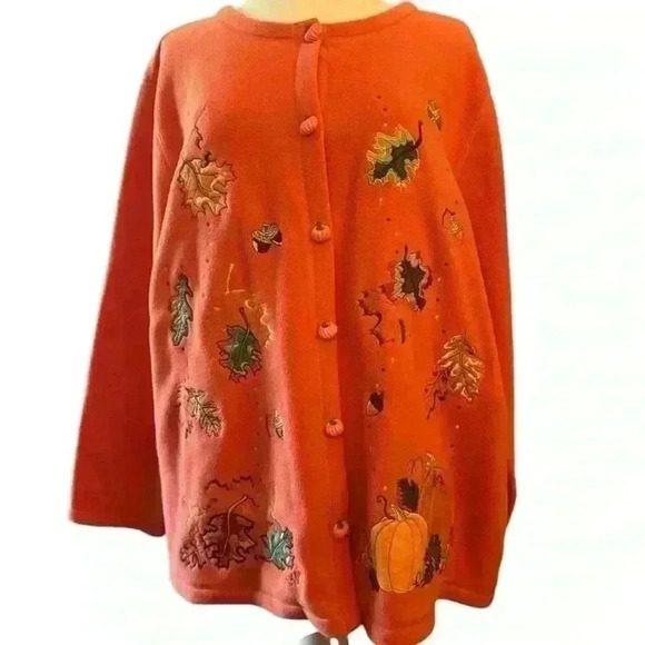Cutest Fall embroidered fleece top - Picture 1 of 7